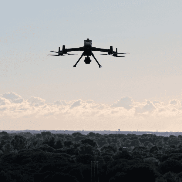 Matrice 400 survol de zone forestière